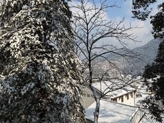 -九华山风景区