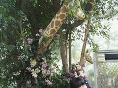 -北京植物园-展览温室