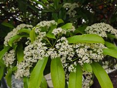 -里运河文化长廊-御码头