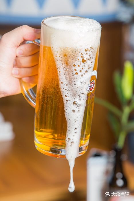 德国瀚克硕啤酒花园餐厅hacker-pschorr图片 - 第127张