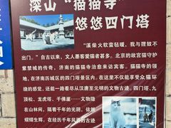-四门塔风景区
