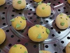 -田螺阿姨自营月嫂·育儿嫂(高新店)