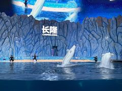 -珠海长隆海洋王国