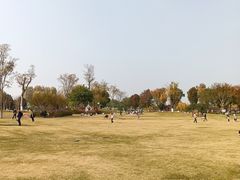 -府河摄影公园