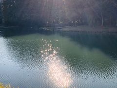 -巡塘古镇