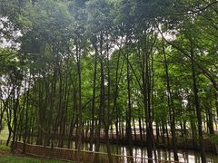 -厦门园林博览苑