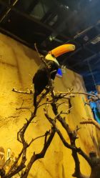 -Zoolung Zoolung动物主题公园(海信广场店)