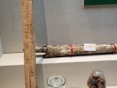 -广东中医药博物馆