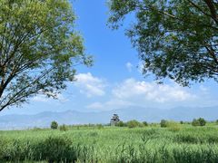 -野鸭湖国家湿地公园
