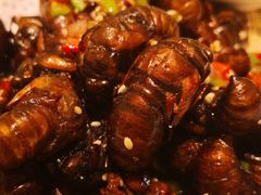 -燕郊烧鸽子(广安路店)