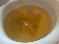 花胶松茸汤-福玺荟(外滩罗斯福店)