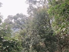 -太和古洞