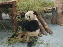-无锡动物园·太湖欢乐园