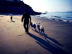 -演武大桥观景平台