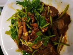 -新疆伏拉沃餐厅(白龙南路店)