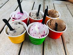 -Patagonia Chocolates(皇后镇店)