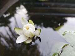 -西安浐灞国家湿地公园