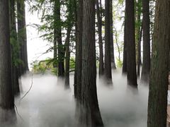 -东湖落雁景区