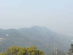 -大金鹰园