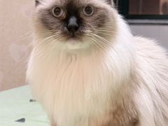 -佳雯宠物医院·皮肤科·内外科(春晓路分院)