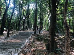 -火炉山森林公园