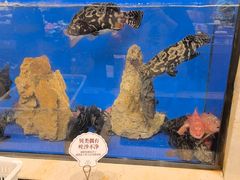 -第六季自助餐厅(北太平庄店)