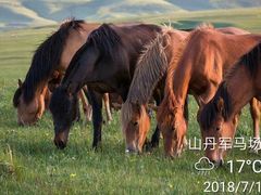 -山丹皇家马场