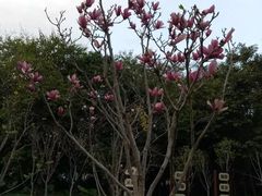 -南宁南湖公园