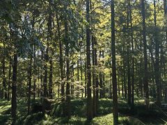 -杭州植物园