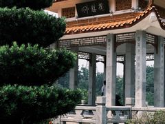 -深圳仙湖植物园