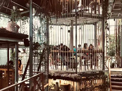 -Rainforest
