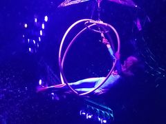 -珠海横琴长隆《卡卡虎奇遇记》