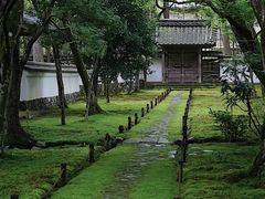 -西芳寺(苔寺)
