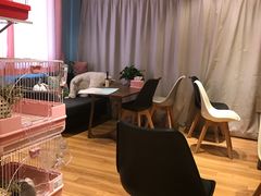 -藦茜花园宠物主题亲子互动体验馆(国顺东路店)