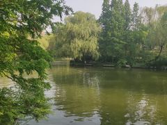 -济南大明湖景区