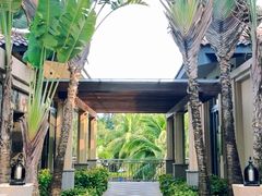 -海南清水湾莱佛士酒店