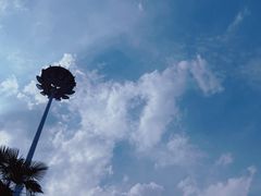-东湖欢乐水世界