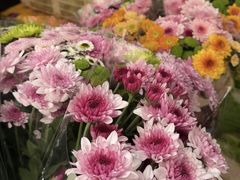 -南坛综合农贸市场