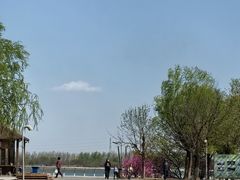 -武清南湖绿博园