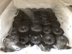 熔浆蛋糕-百年义利(东直门店)