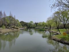 -贡湖湾湿地公园
