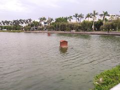 -顺德职业技术大学