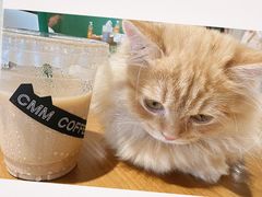 -藏猫猫咖啡主题馆(中央大道店)