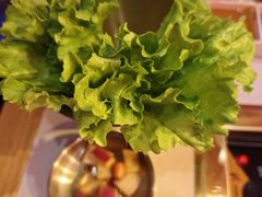 -杨记齐齐哈尔烤肉(总店)