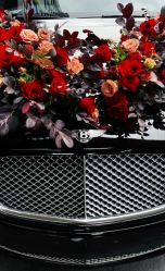 -喜乐汇·婚车(华润橡树湾3期店)