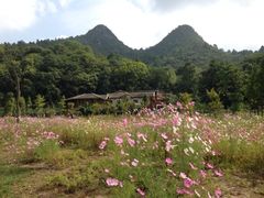 iphone_upload_pic-贵阳市花溪国家城市湿地公园