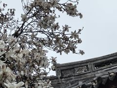-龙华寺