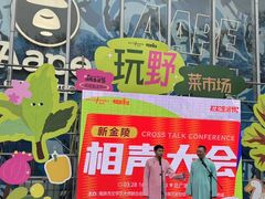-金茂览秀城