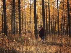 -塞罕坝国家级自然保护区