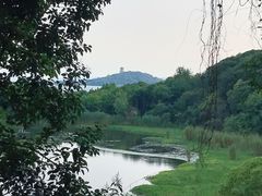 -上海市保健医疗中心(华东疗养院)